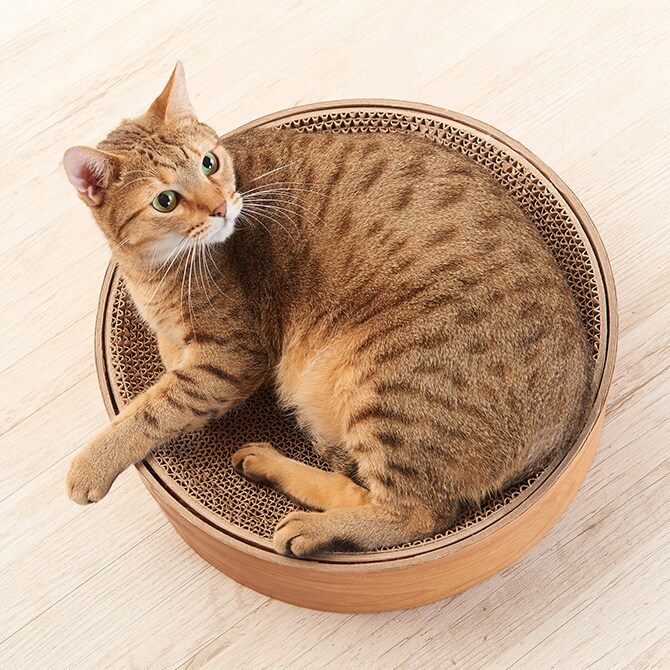 Gari Gari Dish ガリガリディッシュ スクラッチャー インテリア 猫 爪とぎ 木目 お皿型 円形 丸型 爪研ぎ つめとぎ mju; ミュー ネコ