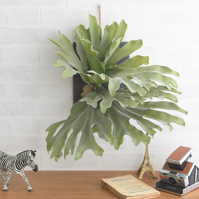 Brown. ブラウン フェイクグリーン ビカクシダ ウォールハンギング スレート 30 フェイクグリーン 壁掛け ハンギング おしゃれ 壁 グリーン インテリア 造花 植物 ペット