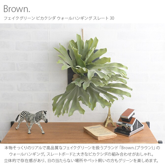 Brown. ブラウン フェイクグリーン ビカクシダ ウォールハンギング スレート 30 フェイクグリーン 壁掛け ハンギング おしゃれ 壁 グリーン インテリア 造花 植物 ペット