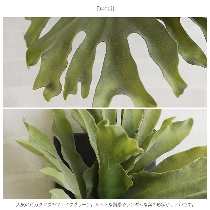 Brown. ブラウン フェイクグリーン ビカクシダ ウォールハンギング スレート 30 フェイクグリーン 壁掛け ハンギング おしゃれ 壁 グリーン インテリア 造花 植物 ペット