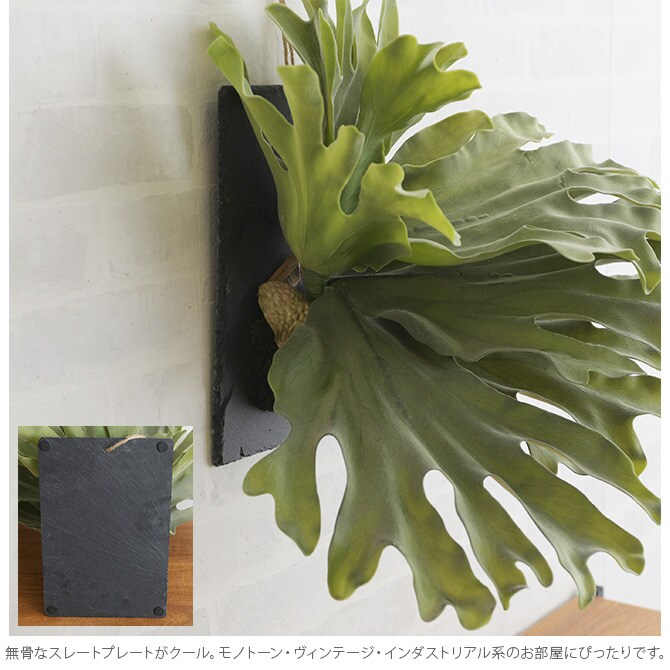 Brown. ブラウン フェイクグリーン ビカクシダ ウォールハンギング スレート 30 フェイクグリーン 壁掛け ハンギング おしゃれ 壁 グリーン インテリア 造花 植物 ペット