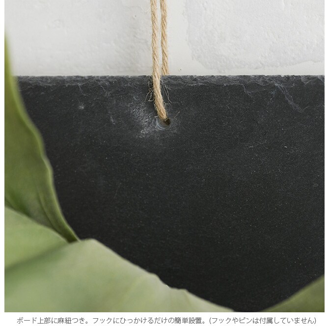 Brown. ブラウン フェイクグリーン ビカクシダ ウォールハンギング スレート 30 フェイクグリーン 壁掛け ハンギング おしゃれ 壁 グリーン インテリア 造花 植物 ペット