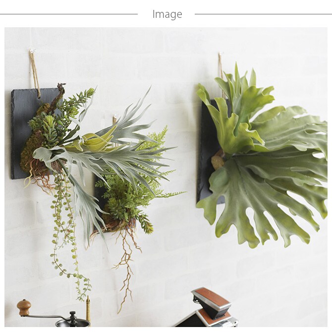 Brown. ブラウン フェイクグリーン ビカクシダ ウォールハンギング スレート 30 フェイクグリーン 壁掛け ハンギング おしゃれ 壁 グリーン インテリア 造花 植物 ペット
