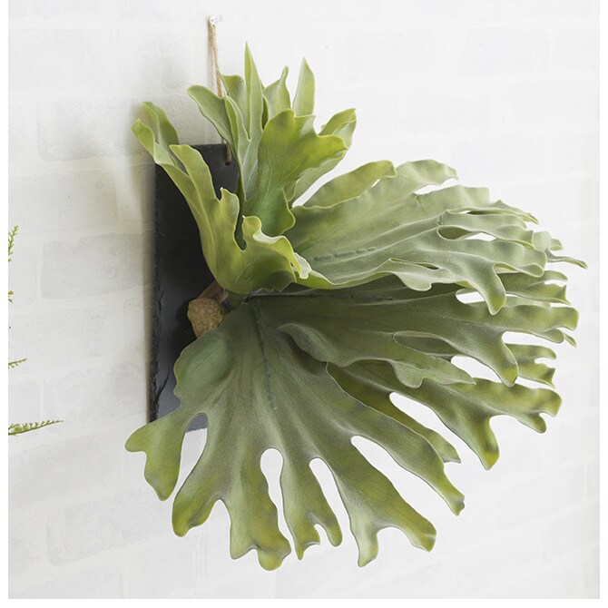 Brown. ブラウン フェイクグリーン ビカクシダ ウォールハンギング スレート 30 フェイクグリーン 壁掛け ハンギング おしゃれ 壁 グリーン インテリア 造花 植物 ペット