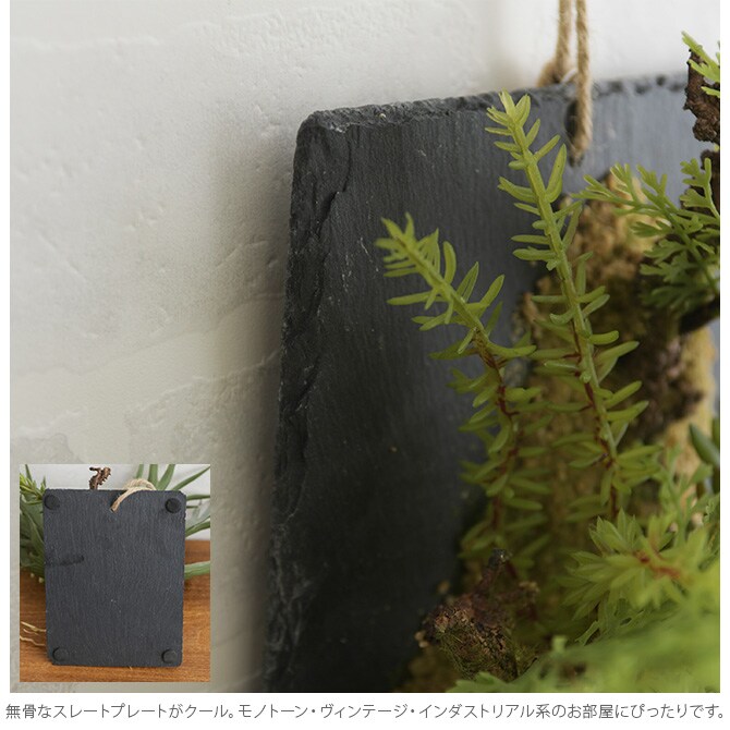 Brown. ブラウン フェイクグリーン ファーン ウォールハンギング スレート 20 フェイクグリーン 壁掛け ハンギング おしゃれ 壁 グリーン インテリア 造花 植物 ペット