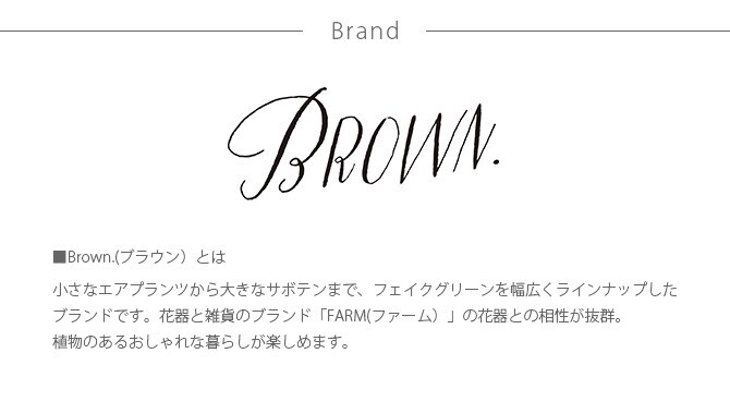 Brown. ブラウン フェイクグリーン ファーン ウォールハンギング スレート 20 フェイクグリーン 壁掛け ハンギング おしゃれ 壁 グリーン インテリア 造花 植物 ペット