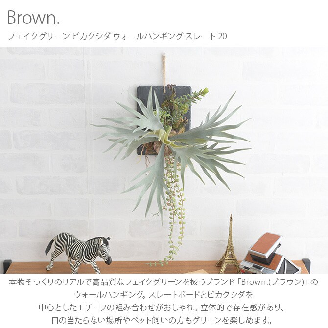 Brown. ブラウン フェイクグリーン ビカクシダ ウォールハンギング スレート 20 フェイクグリーン 壁掛け ハンギング おしゃれ 壁 グリーン インテリア 造花 植物 ペット