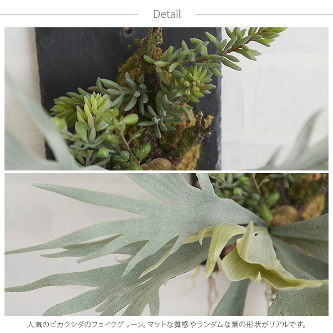 Brown. ブラウン フェイクグリーン ビカクシダ ウォールハンギング スレート 20 フェイクグリーン 壁掛け ハンギング おしゃれ 壁 グリーン インテリア 造花 植物 ペット