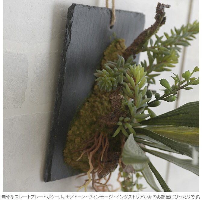 Brown. ブラウン フェイクグリーン ビカクシダ ウォールハンギング スレート 20 フェイクグリーン 壁掛け ハンギング おしゃれ 壁 グリーン インテリア 造花 植物 ペット