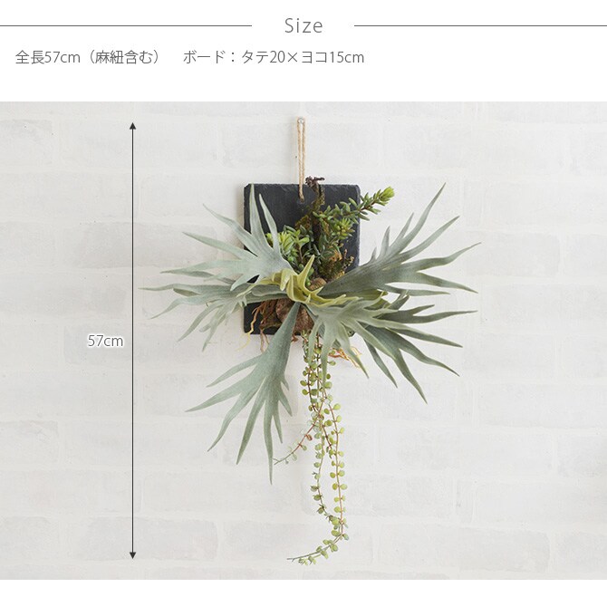 Brown. ブラウン フェイクグリーン ビカクシダ ウォールハンギング スレート 20 フェイクグリーン 壁掛け ハンギング おしゃれ 壁 グリーン インテリア 造花 植物 ペット