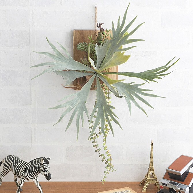 Brown. ブラウン フェイクグリーン ビカクシダ ウォールハンギング アカシア 20 フェイクグリーン 壁掛け ハンギング おしゃれ 壁 グリーン インテリア 造花 植物 ペット