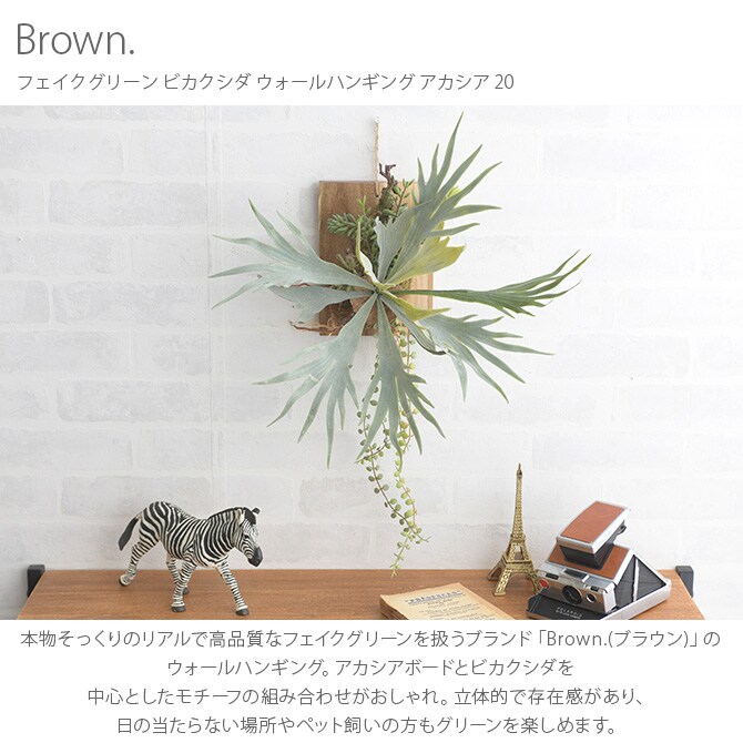 Brown. ブラウン フェイクグリーン ビカクシダ ウォールハンギング アカシア 20 フェイクグリーン 壁掛け ハンギング おしゃれ 壁 グリーン インテリア 造花 植物 ペット