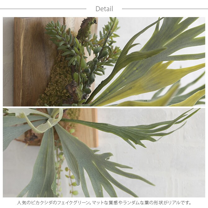 Brown. ブラウン フェイクグリーン ビカクシダ ウォールハンギング アカシア 20 フェイクグリーン 壁掛け ハンギング おしゃれ 壁 グリーン インテリア 造花 植物 ペット