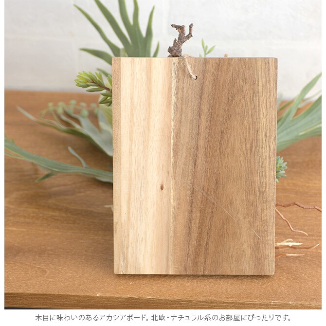 Brown. ブラウン フェイクグリーン ビカクシダ ウォールハンギング アカシア 20 フェイクグリーン 壁掛け ハンギング おしゃれ 壁 グリーン インテリア 造花 植物 ペット