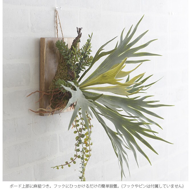 Brown. ブラウン フェイクグリーン ビカクシダ ウォールハンギング アカシア 20 フェイクグリーン 壁掛け ハンギング おしゃれ 壁 グリーン インテリア 造花 植物 ペット