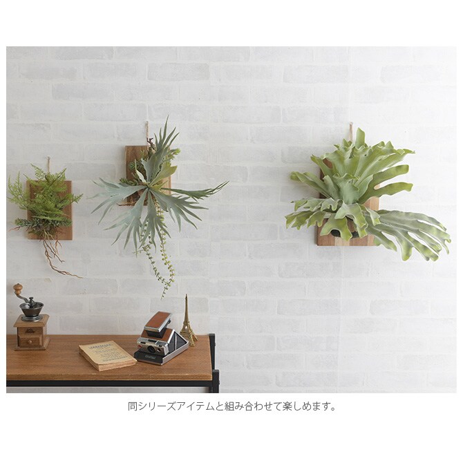 Brown. ブラウン フェイクグリーン ビカクシダ ウォールハンギング アカシア 20 フェイクグリーン 壁掛け ハンギング おしゃれ 壁 グリーン インテリア 造花 植物 ペット