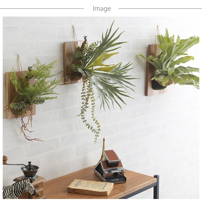 Brown. ブラウン フェイクグリーン ビカクシダ ウォールハンギング アカシア 20 フェイクグリーン 壁掛け ハンギング おしゃれ 壁 グリーン インテリア 造花 植物 ペット