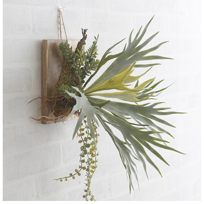 Brown. ブラウン フェイクグリーン ビカクシダ ウォールハンギング アカシア 20 フェイクグリーン 壁掛け ハンギング おしゃれ 壁 グリーン インテリア 造花 植物 ペット