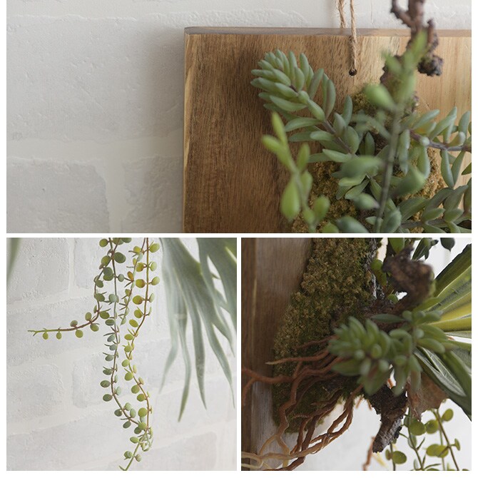 Brown. ブラウン フェイクグリーン ビカクシダ ウォールハンギング アカシア 20 フェイクグリーン 壁掛け ハンギング おしゃれ 壁 グリーン インテリア 造花 植物 ペット