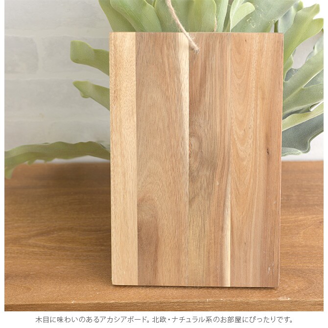 Brown. ブラウン フェイクグリーン ビカクシダ ウォールハンギング アカシア 30 フェイクグリーン 壁掛け ハンギング おしゃれ 壁 グリーン インテリア 造花 植物 ペット