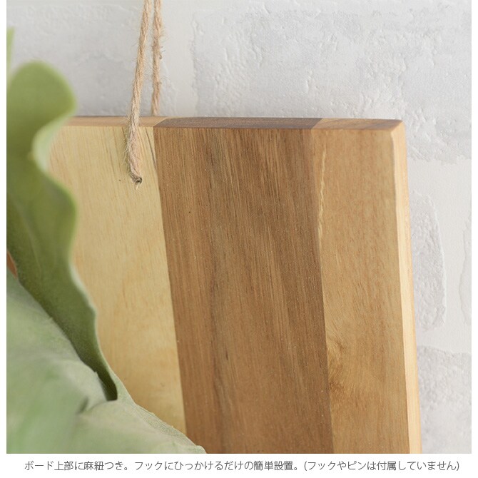 Brown. ブラウン フェイクグリーン ビカクシダ ウォールハンギング アカシア 30 フェイクグリーン 壁掛け ハンギング おしゃれ 壁 グリーン インテリア 造花 植物 ペット