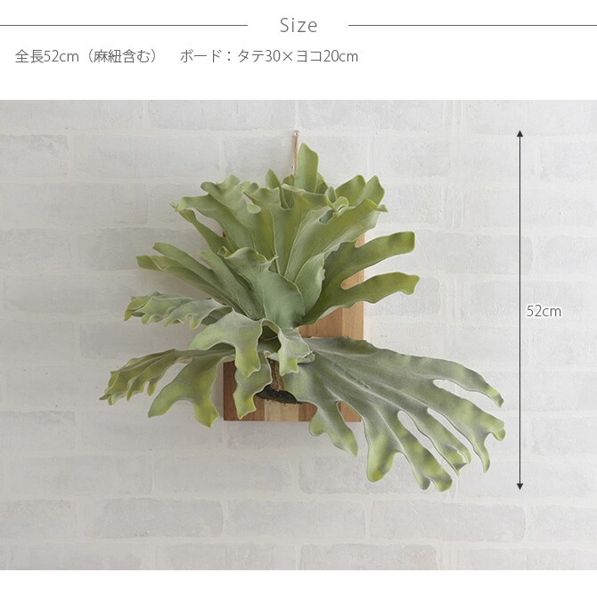 Brown. ブラウン フェイクグリーン ビカクシダ ウォールハンギング アカシア 30 フェイクグリーン 壁掛け ハンギング おしゃれ 壁 グリーン インテリア 造花 植物 ペット