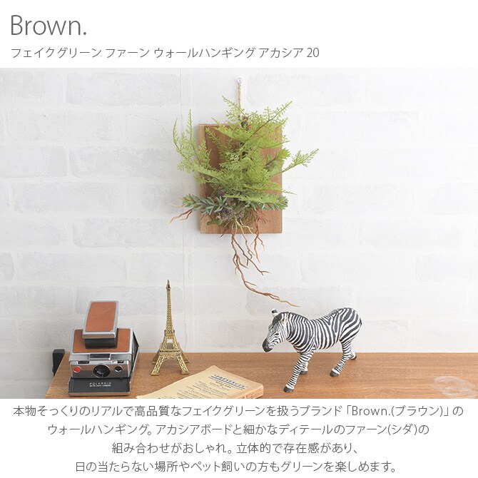 Brown. ブラウン フェイクグリーン ファーン ウォールハンギング アカシア 20 フェイクグリーン 壁掛け ハンギング おしゃれ 壁 グリーン インテリア 造花 植物 ペット
