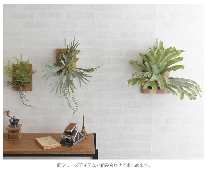 Brown. ブラウン フェイクグリーン ファーン ウォールハンギング アカシア 20 フェイクグリーン 壁掛け ハンギング おしゃれ 壁 グリーン インテリア 造花 植物 ペット
