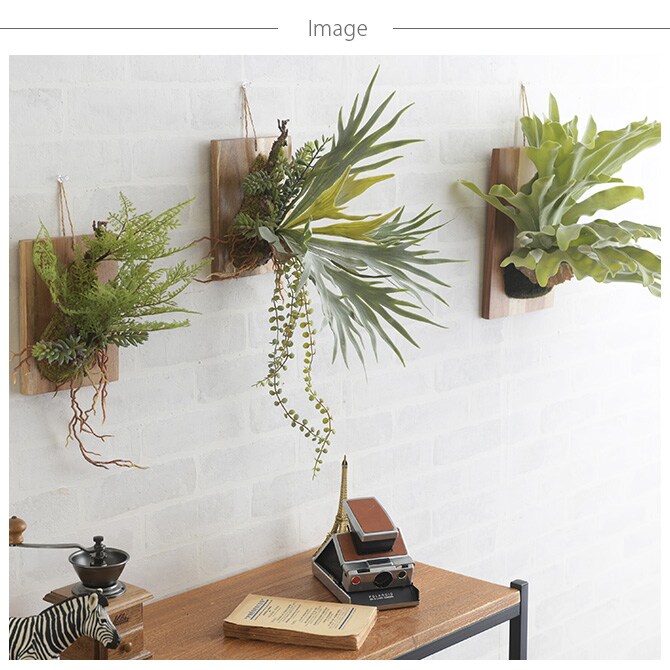 Brown. ブラウン フェイクグリーン ファーン ウォールハンギング アカシア 20 フェイクグリーン 壁掛け ハンギング おしゃれ 壁 グリーン インテリア 造花 植物 ペット