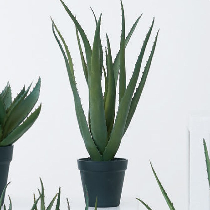 Brown. ブラウン アロエベラ ポット 48 観葉植物 フェイクグリーン 造花 アロエ ポット 鉢 おしゃれ リアル 多肉植物 インテリア