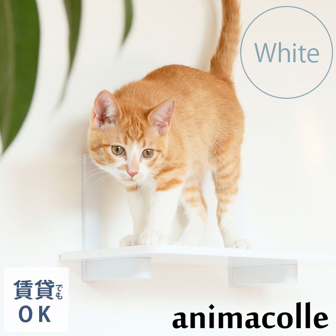 animacolle アニマコレ Catroad+ キャットステップ ホワイト 猫 キャットステップ キャットウォーク