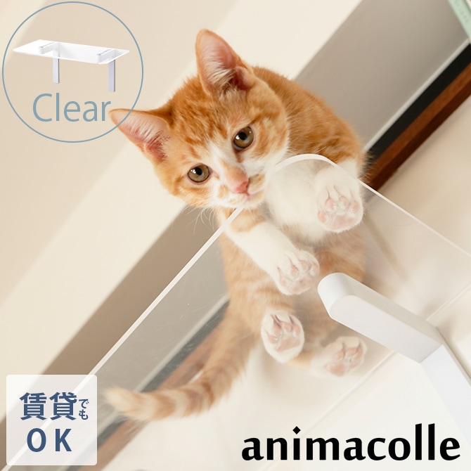 animacolle アニマコレ Catroad+ キャット クリアステップ 猫 キャットステップ キャットウォーク 壁 DIY 上下運動 キャットタワー 透明 クリア おしゃれ