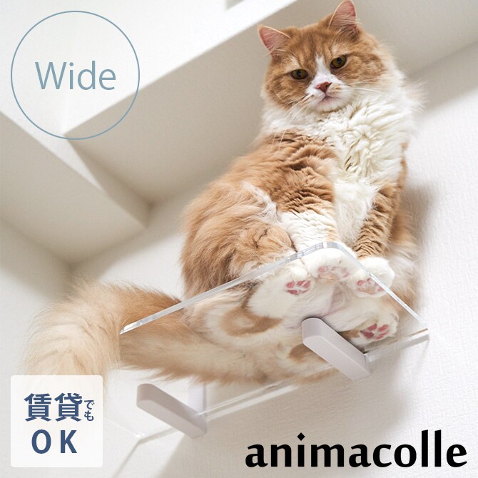 animacolle アニマコレ Catroad+  キャット ワイドステップクリア  猫 キャットステップ キャットウォーク 壁 DIY ワイド キャットタワー 透明 クリア おしゃれ  