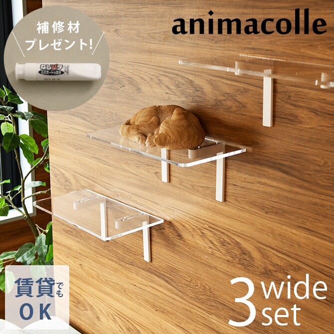 animacolle アニマコレ Catroad+ キャット ワイドステップ 3点セット