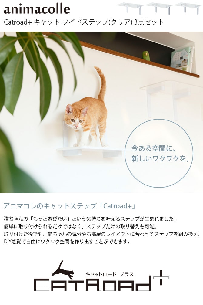 animacolle アニマコレ Catroad+ キャット ワイドステップ 3点セット
