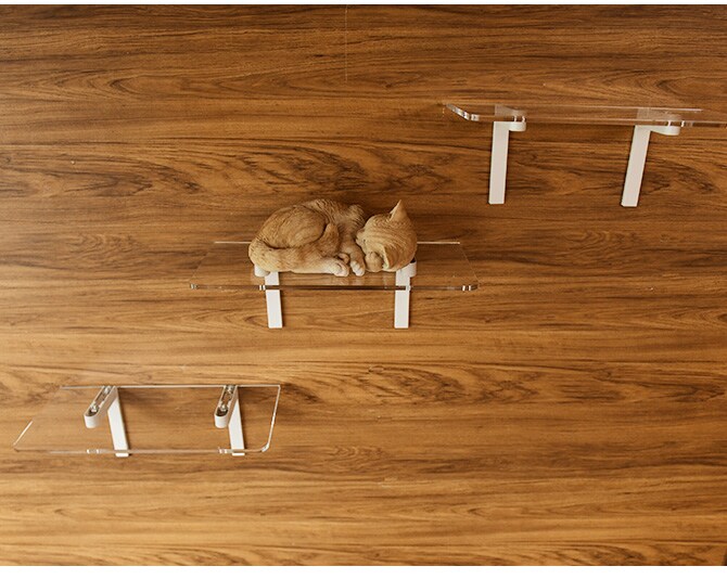 animacolle アニマコレ Catroad+ キャット ワイドステップ 3点セット