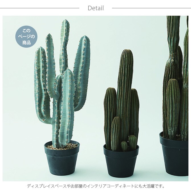 Brown. ブラウン 柱サボテン ポット 76