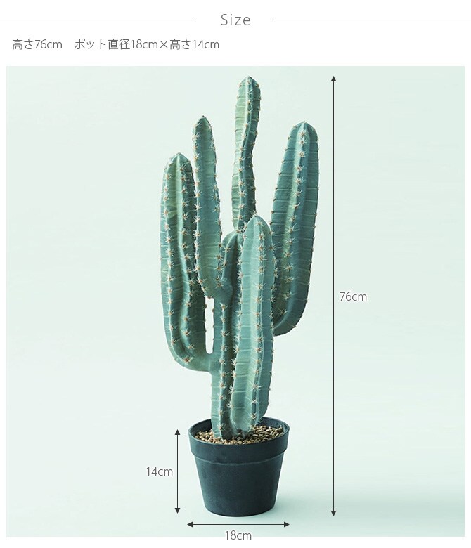 Brown. ブラウン 柱サボテン ポット 76