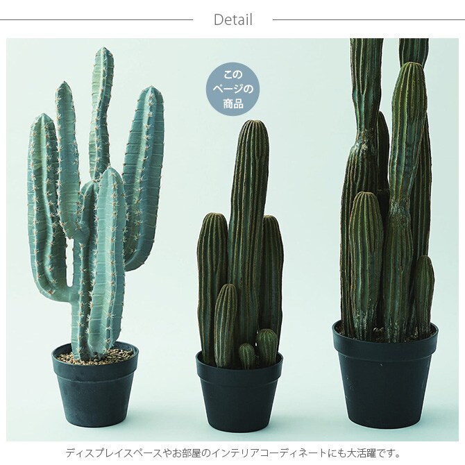 Brown. ブラウン 柱サボテン ポット 63