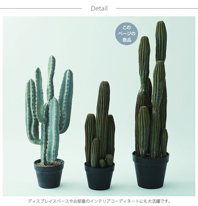 Brown. ブラウン 柱サボテン ポット 91