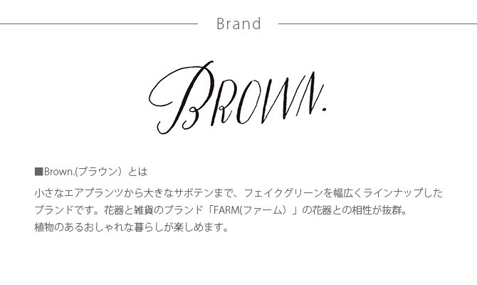 Brown. ブラウン 柱サボテン ポット 91