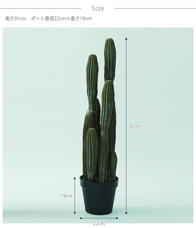 Brown. ブラウン 柱サボテン ポット 91