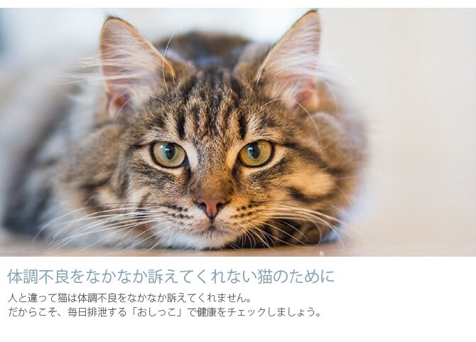 ヘルス インディケーター 猫 猫砂 健康チェック おしっこ 尿 pH値 消臭 脱臭 トイレ砂 トイレ
