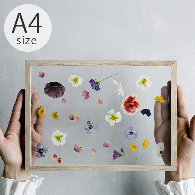 MOEBE ムーベ FRAME フレーム A4 