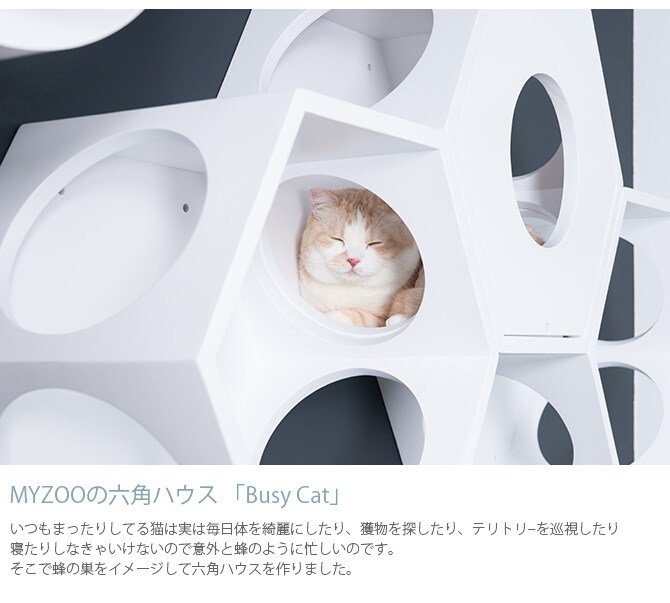MYZOO マイズー Busy cat 六角ハウス 猫 キャットステップ キャットウォーク 六角 ホワイト MY ZOO シンプル MYZOO 壁掛け 北欧