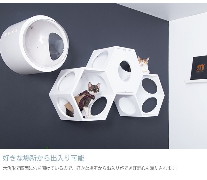 MYZOO マイズー Busy cat 六角ハウス 猫 キャットステップ キャットウォーク 六角 ホワイト MY ZOO シンプル MYZOO 壁掛け 北欧