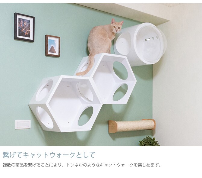 MYZOO マイズー Busy cat 六角ハウス 猫 キャットステップ キャットウォーク 六角 ホワイト MY ZOO シンプル MYZOO 壁掛け 北欧