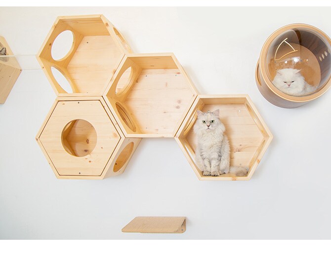 MYZOO マイズー Busy Cat専用 Cover Plate カバープレート  猫 キャットハウス スツール 六角 木製 無垢材 シンプル 椅子 腰掛け 北欧  