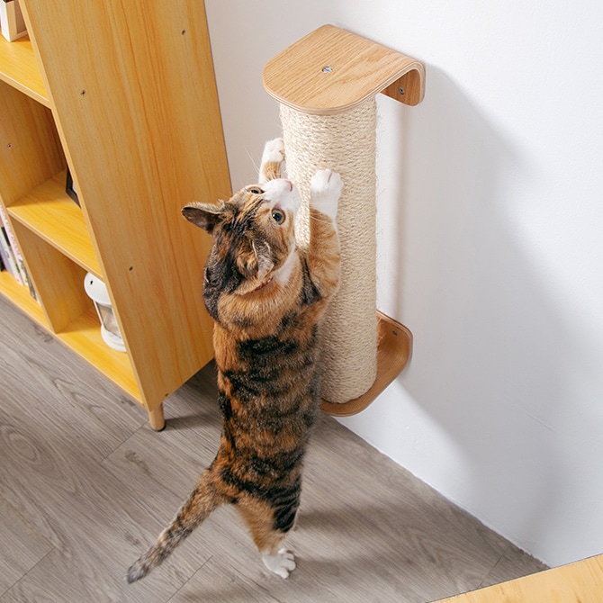 MYZOO マイズー CYLINDER 爪とぎポール 猫 爪とぎ キャットウォーク つめとぎ ツメトギ 壁付け MY ZOO
