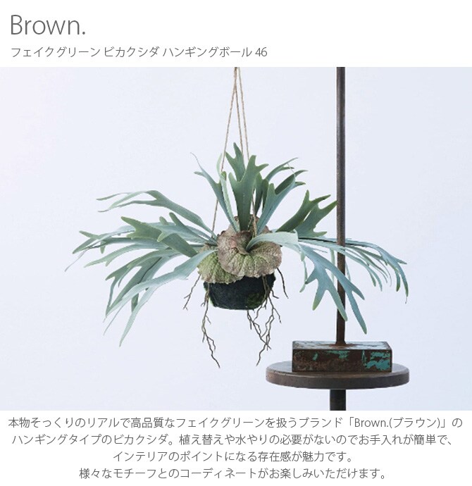 Brown. ブラウン フェイクグリーン ビカクシダ ハンギングボール 46